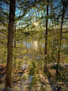 La lumière en nature