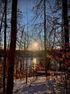 La lumière en plein nature hivernale