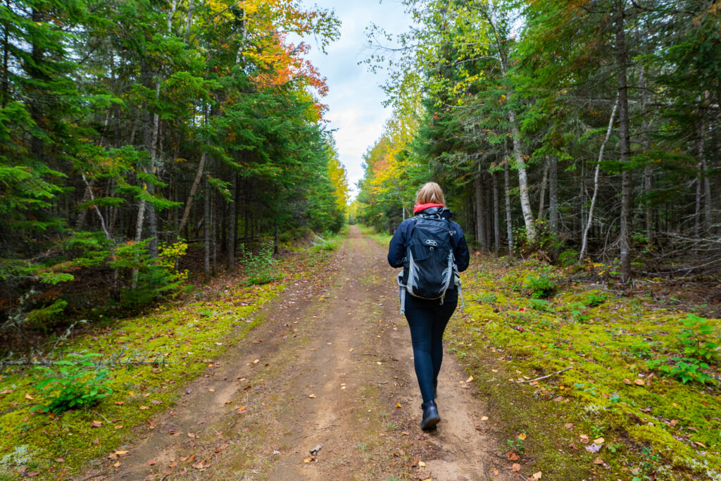 Randonner au parc de la Mauricie l'automne