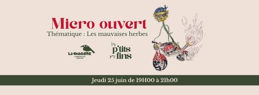 Micro ouvert- Les p&rsquo;tits pas fins- Les mauvaises herbes